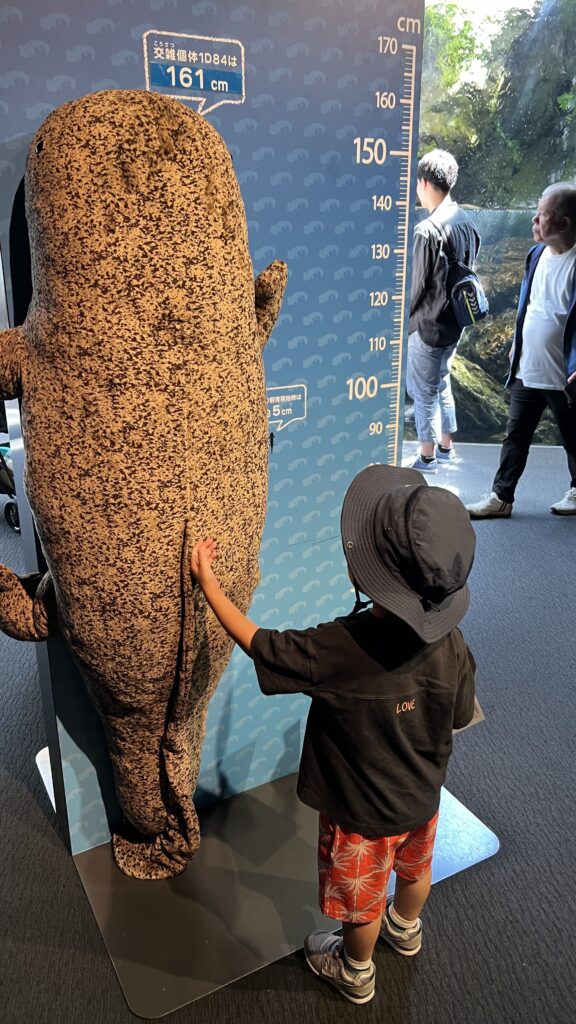 3歳0歳と行く京都水族館【車なし子連れおでかけ】