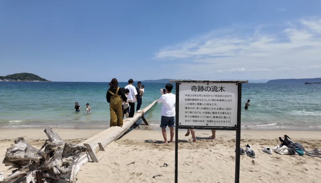 ヤシの木ブランコは子連れでも楽しめる？実際に行って感じたことまとめ【糸島】