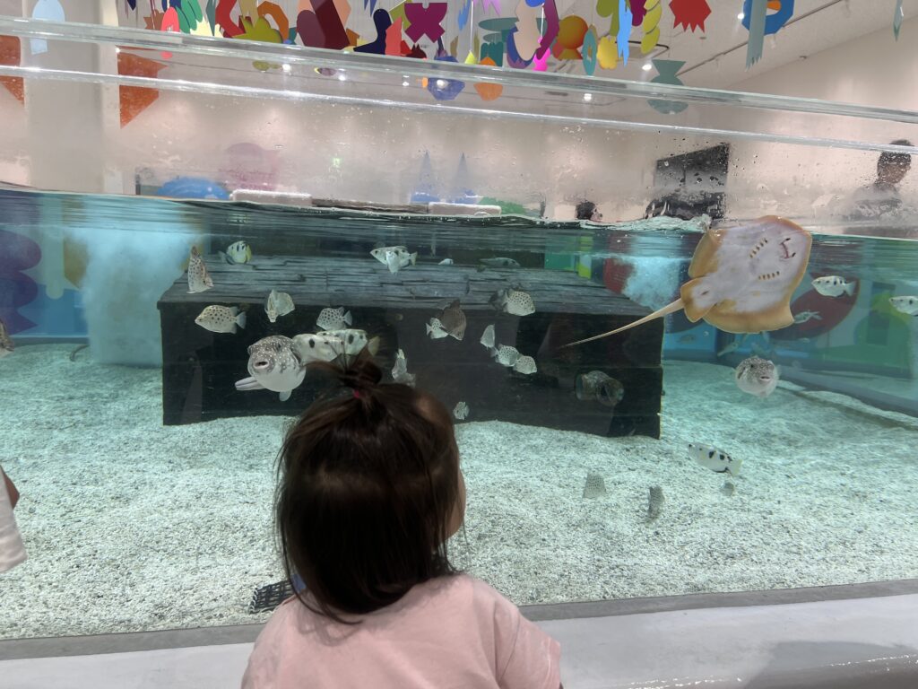 【ニフレル】2歳・5歳の子連れレビュー！ベビーカー・ランチ・所要時間まとめ