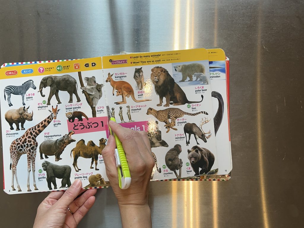 はじめてずかんをリングファイル化！100均グッズでボロボロのページを補修してみた