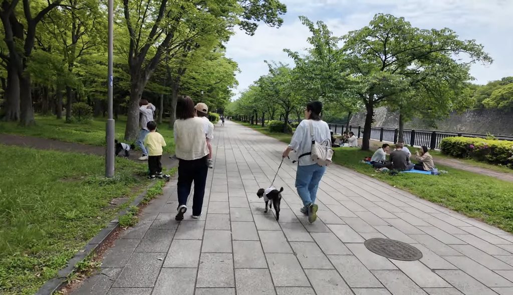 子連れお出かけにDJI Osmo Pocket 3が便利！実際に使ったママがレビュー